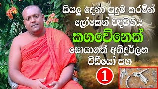 ලෝකෙන් වදවීගිය කගවේනෙක් සොයාගත්  අතිදුර්ලභ වීඩියෝ පහ. ( Part.1 )