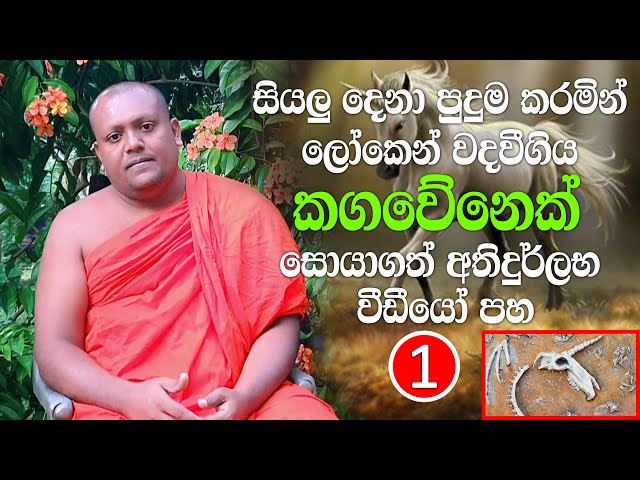 ලෝකෙන් වදවීගිය කගවේනෙක් සොයාගත්  අතිදුර්ලභ වීඩියෝ පහ. ( Part.1 )