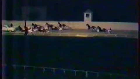 1981 Allan Matson FFA - Addington, Christchurch: L...