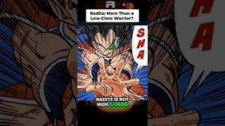 The Saiyan Class Hierarchy was lowkey dumb for this reason ALONE