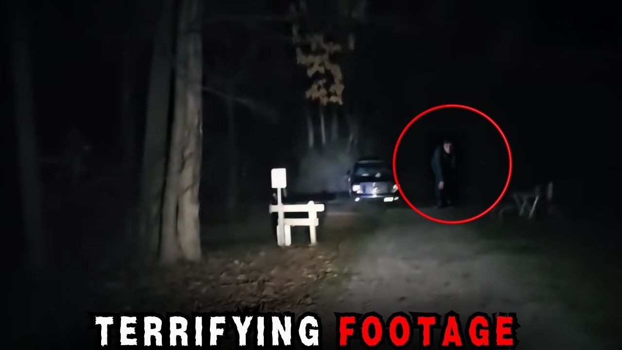 7 TERRIFYING Forest Encounters Caught on Camera