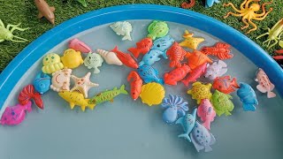 Unboxing ikan cupang hias,ikan koi,ikan nemo, ikan lohan, ikan marlin, ikan kakap,gurita,lobster
