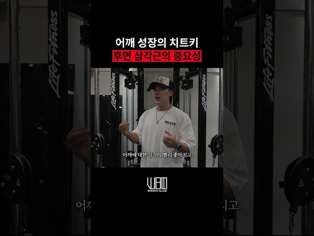 어깨 성장의 치트키 후면 삼각근의 중요성