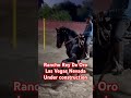 Warlander, Las Vegas Nevada; Rancho Rey De Oro!!! #frisianhorse