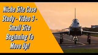 Niche Site Case Study - Video 3 - Small Sites Is Starting To Rank! (Fast Ranking!) #NicheSite #SEO