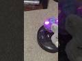 Furbys riding roombas
