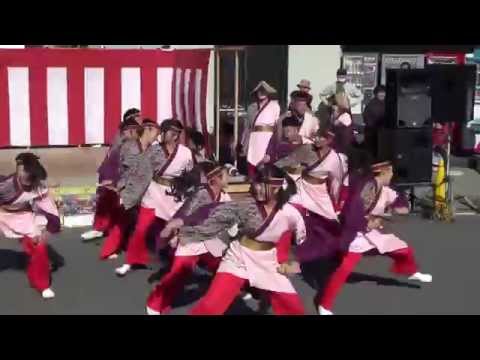 聯　2015　吾妻さんよさこいパレード2015