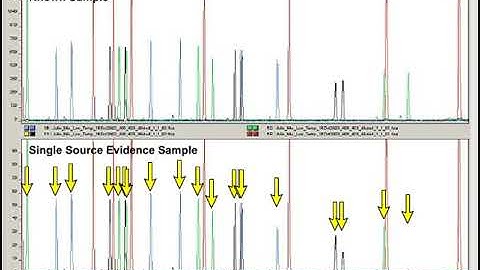 animation that shows an example of the stochastic effect