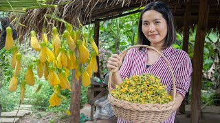 Picked Sesbania Flower For Food | Making Sesbania Flower Pickle &amp; Cooking Khmer Noodle Recipe