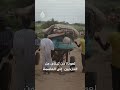 نقل رفات أكثر من 15 ألف متوفي من داخل أحياء الخرطوم 