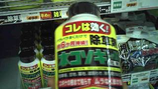 ネコソギ　コレは効く　除草剤