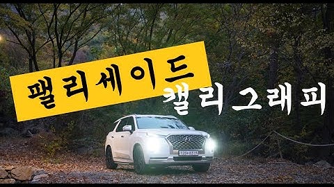 올해 출고한 팰리세이드 캘리그래피 3개월 탄 차주 심경 & 리뷰
