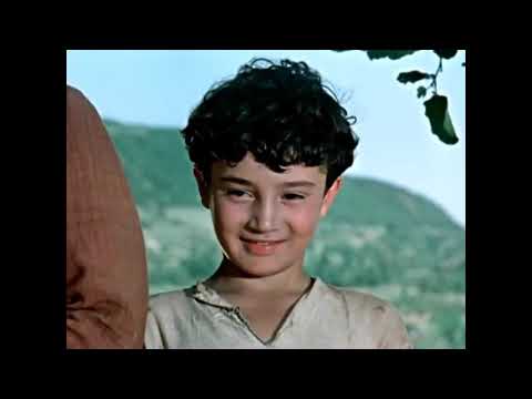 მამლუქი