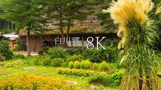 [Shirakawago at the end of summer] 14 spectacular views of unexplored villages  JAPAN in 8K