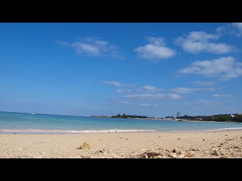「島唄」THE BOOM & アルフレッド・カセーロ 夏の名曲カラオケ