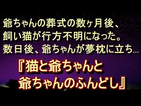 【衝撃】【不思議 ほっこり】坊さんのお経が佳境を迎えた頃、猫が立ち上がり棺桶の上に乗った。ニャーンと一声鳴き、遺影を見上げる猫を見て、押さえていた涙があふれた。のだが。