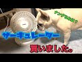 【開封動画】サーキュレーター購入レビュー