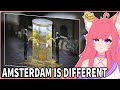 Why You Can PISS On The Streets Of Amsterdam | Hoog React