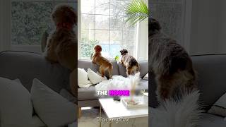 He Did Not Like Her At First .And.aria