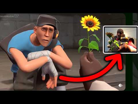 New Taunt & New Posts