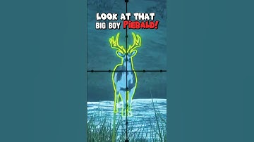 SUPER RARE?!? MEGA PIEBALD!!! The Hunter: Call of the Wild