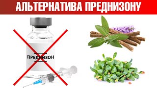 Лучшая альтернатива кортикостероидам👉натуральные заменители