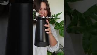 Some Quick Kangaroo Fern Care & Tips (:  #houseplantcare   #houseplanthome #kangaroofern