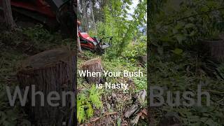 Nothing Beats Clean Bush: XC1100 Mulcher vs The Rough Stuff