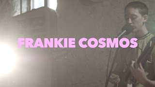 Video thumbnail of "Frankie Cosmos- What If (Basement Session)"