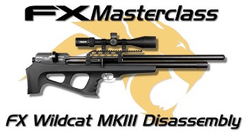FX Wildcat MKIII Disassembly - FX Masterclass