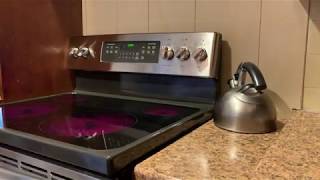 Kashering a Stovetop Kashering A Stove Top