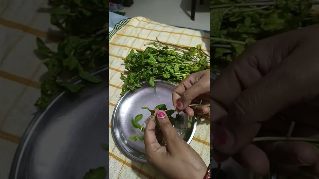 podina chatni😋👌