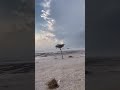 بردية أنبوان طريق الشملي الحايط من تصويري ٥ نوفمبر ٢٠٢٤