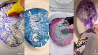 30mins of Satisfying Tiktok ASMR Compilation: TOILET OVERLOAD for 30+ SUBSCRIBERS ! 🌈🚽