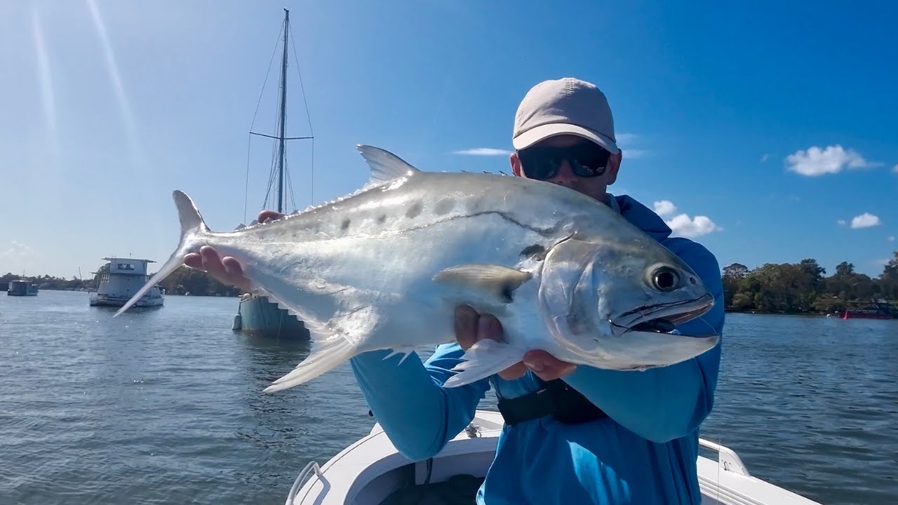Jacks, Queenfish and Trevally - Fishing The Sunshine Coast QLD - YouTube