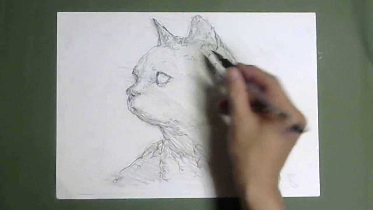 実速 描き語り デッサン描き方 詳しい解説 横を向くグレイのネコ ネコの顔の特徴をつかむには に注意すべし Youtube