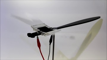 Entirely soft dielectric elastomer muscle