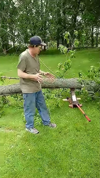 Handy Tip For Cutting Up Fallen Trees - YouTube
