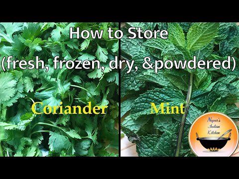 How to store mint and coriander leaves for long time/How to store mint leaves/how to store coriander
