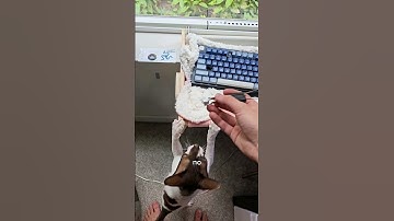 I made the Razer Keyboard THOCK