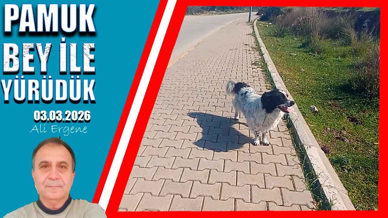 Pamuk bey ile sabah yürüyüşü yaptık | Turkin Uutiset ᴴᴰ