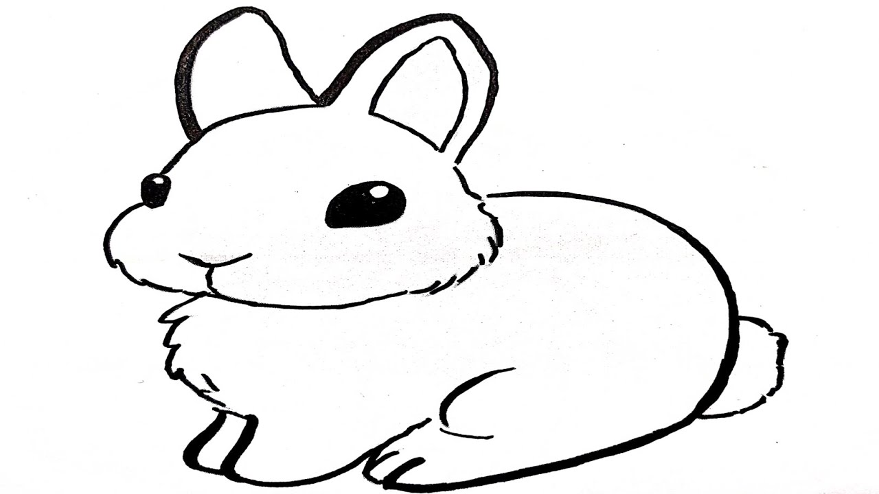 Easy Draw Rabbit Colouring Rabbit π π° drawing for kids and toddlers | Bunny drawing easy| Cute ...