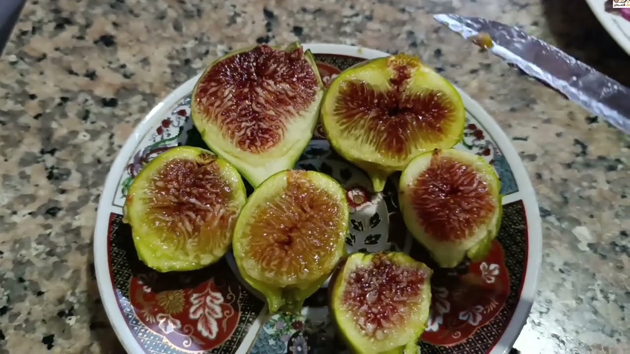 أخر مقارنة بين الاصناف هاته السنة   6 أصناف تدخل السباق من ضمنها الشتوي بوعنان و العواد