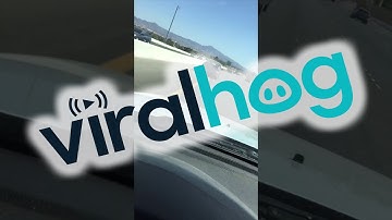 Head on Collision with a Highway Barrier || ViralHog