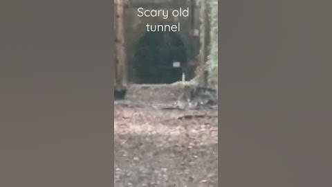Caversham tunnel in New Zealand. Goosebumps during the visit! scary as! #gallegofamilytvnz #dunedin