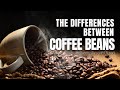 The secrets behind coffee bean varieties