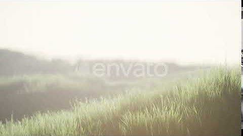 Green Field with Tall Grass in the Early Morning with Fog | Motion Graphics - Envato elements