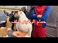 حمام الرافينو من شلف إلى الحراش