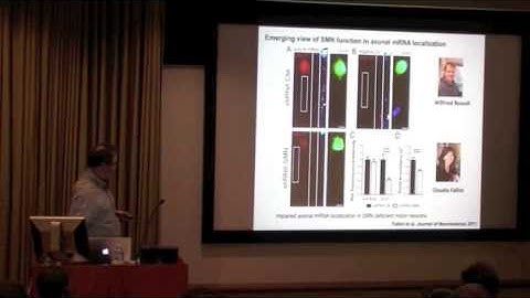 Dr. Gary Bassell - mRNA Regulation in Neuronal Development, Plasticity, and Disease