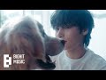 TXT (투모로우바이투게더) The Star Chapter: SANCTUARY Concept Clip 'ANGEL' - 휴닝카이 (HUENINGKAI)